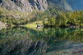 WbObersee_AA23390.jpg