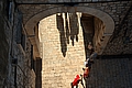 11cro_3106.jpg
