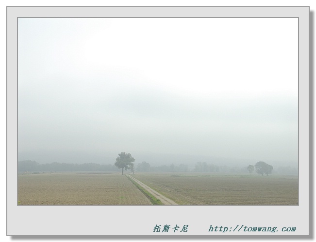 ITY_2777.jpg