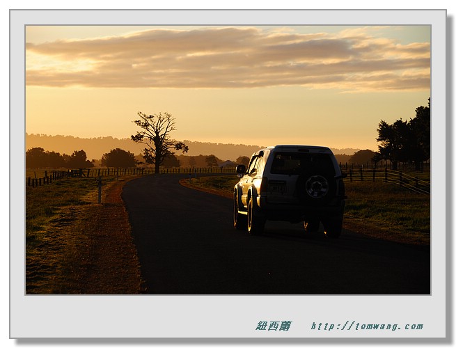 NZC_0258.JPG