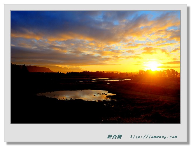 NZC_0265_1_2_3_4.JPG
