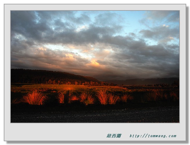 NZC_0270.JPG