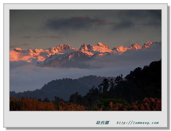 NZC_0433.JPG
