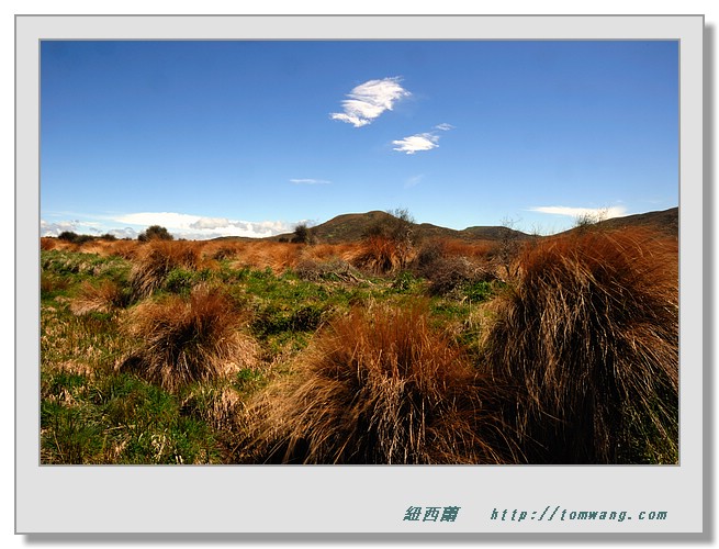 NZC_1572.JPG