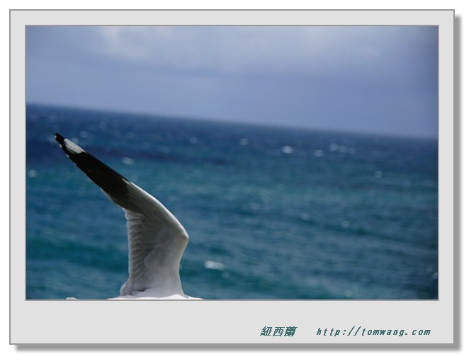 NZC_2227.JPG