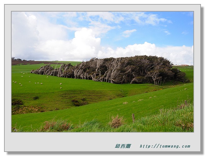 NZC_2244.JPG