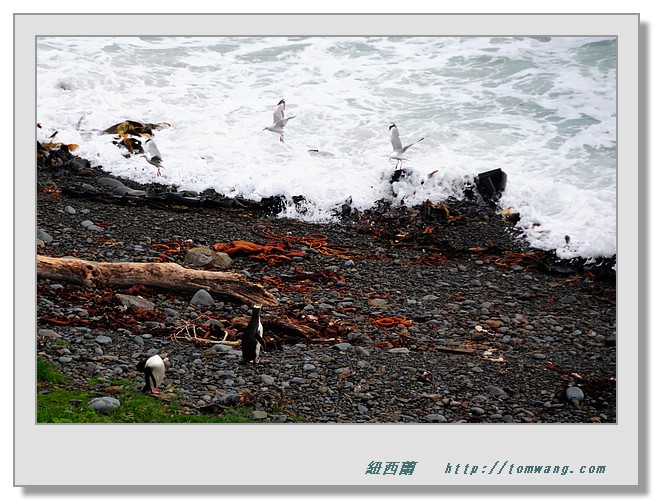 NZC_2330.JPG