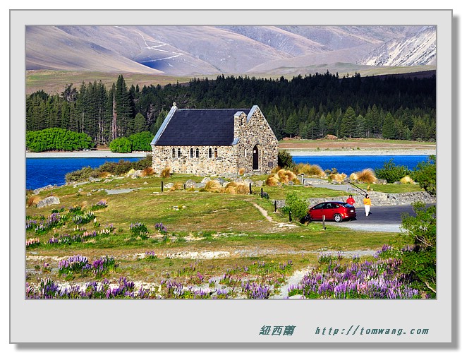 NZC_3680.JPG
