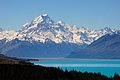 502NZC_2985.JPG