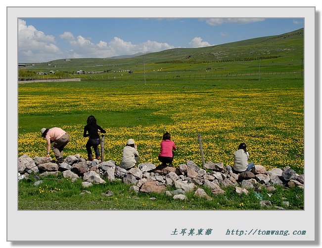 TUR_2972.jpg