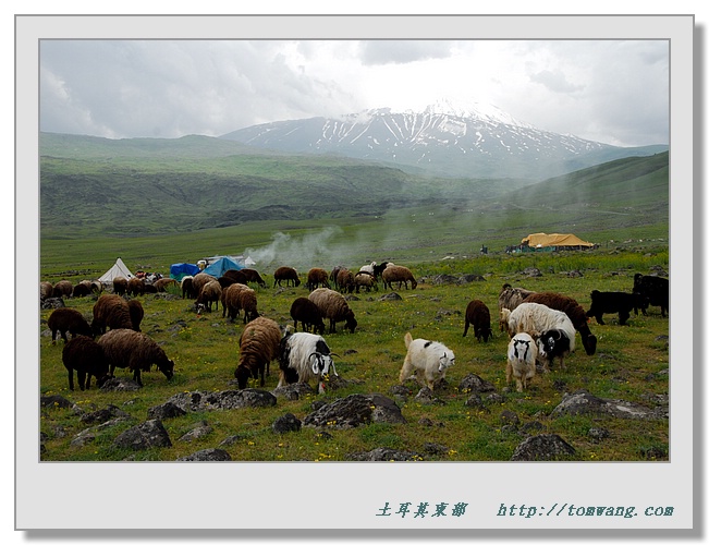 TUR_3195.jpg