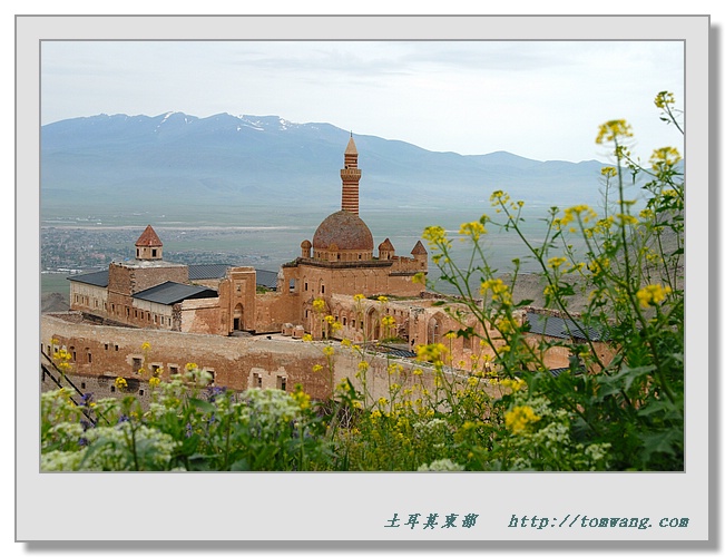 TUR_3450.jpg