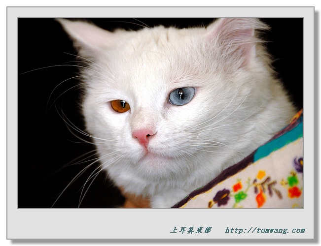 TUR_3748.jpg
