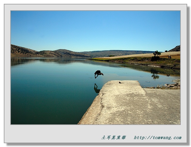 TUR_5582.jpg