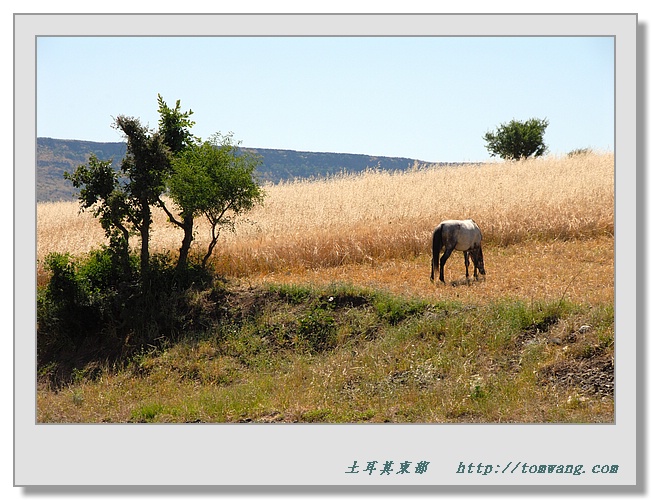 TUR_5598.jpg